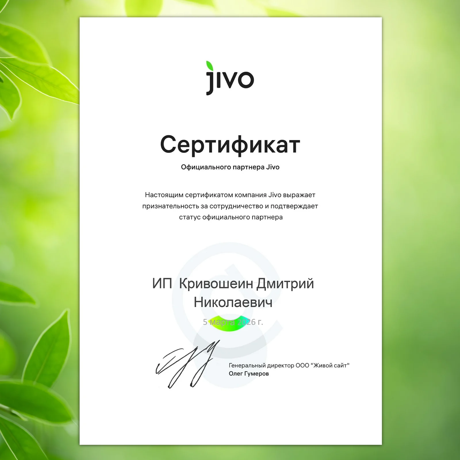 Сертификат - ИП Кривошеин Дмитрий Н. официальный партнер Jivo